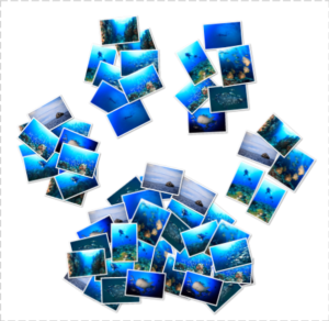 Screen Shot 2558-11-02 at 8.49.26 AM